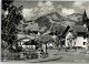 Fischen Allgaeu - Fischen