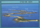 29 L ILE DE SEIN - Ile De Sein