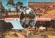 40  BISCARROSSE - Biscarrosse