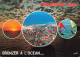 40  BISCARROSSE PLAGE - Biscarrosse