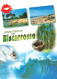 40  BISCARROSSE - Biscarrosse
