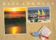 40  BISCARROSSE - Biscarrosse
