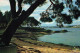 29 CONCARNEAU - Concarneau