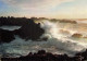 29 OUESSANT - Ouessant