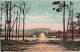 57 BITCHE CAMP DE BITCHE - Bitche