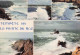 29 AUDIERNE POINTE DU RAZ - Audierne