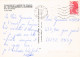 63 VIC LE COMTE PUY DE DOME - Vic Le Comte