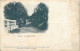 63-ROYAT-N°3025-E/0245 - Royat