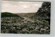 Eberbach Neckar Panorama - Eberbach