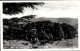 CPA Libanon, Les Cedres - Indien