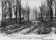 60 COMPIEGNE FORET DE COMPIEGNE - Compiegne