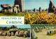 56 CARNAC - Carnac