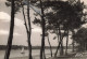 40 HOSSEGOR LE LAC - Hossegor