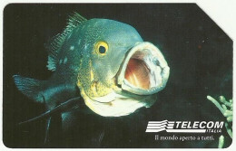 Italia - Lire 15.000 (Tir. 535.000) - ° Usata - Fish