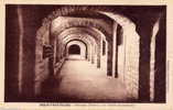 DOURGNE - Abbaye De Saint-Benoît D´En-Calcat. Le Cloître Du Sous-sol - Dourgne