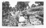 Le Rayol -  Les Escaliers Provencaux - 23 - - Rayol-Canadel-sur-Mer