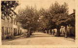 VIELMUR - Boulevard Des Platanes - Vielmur Sur Agout