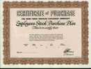 CERTIFICATE OF PURCHASE (THE NEW YORK CENTRAL RAILROAD CY) - Bahnwesen & Tramways