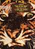 SURVIVOR : " EYE OF TIGER " ( ROCKY III ) - Soundtracks, Film Music