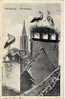 STRASBOURG     Carte Postale Constituée Des Symboles De STRASBOURG  ( La Cathédrale Et Les Cigognes)  1913 - Strasbourg