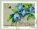 Pologne 1984 Yvert Et Tellier N 2721 Exp10 (obl.) Fleurs, Clematis Alpina - Gebruikt