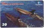 2001 Brasil 30 - DOLPHIN - Fish