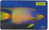 2000 Brasil 60 - Vissen