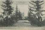 Revigny  1914 à 1916  Entrée Et Monument Du Cimetière Militaire - Revigny Sur Ornain