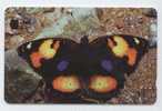 OMN87 - 1997 BUTTERFLY, YELLOW PANSY    RO 1.5 - Oman