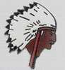 INDIEN - COIFFE DE PLUMES - USA - INDIANS - VISAGE - TETE - USA  - AMERINDIENS - - BD