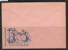 POLAND SCOUT POST COVER WACHOBNO ENVELOPE - Other & Unclassified