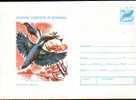 Enteire Postal With Bird Raptors 1977. - Marine Web-footed Birds