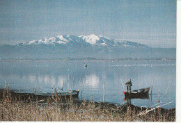 66: L'étand De Canet-St-Nazaire Et Le Canigou - Canet En Roussillon