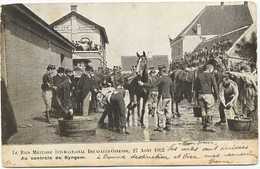 Zingem - Le Raid Militaire International Bruxelles-Ostende, 24 Aout 1902 - Au Controle De Syngem - Zingem