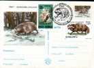 Romania 1997 Cancell And Postmark With Animals. - Rongeurs