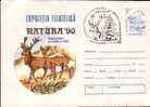 Enteire Postal 1990 Of Romania With Hunt. - Animalez De Caza