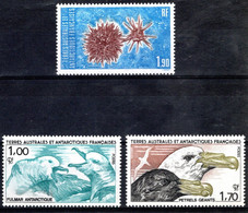 Lot De 3 Timbres TAAF ** MNH N° 115/117 Faune Antarctique. Fulmar, Petrel Géant, Oursin - Autres & Non Classés