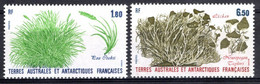 Lot De 2 Timbres : TAAF ** MNH N° 125/126 Flore Antarctique - Autres & Non Classés