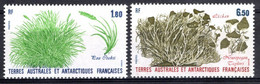 Lot De 2 Timbres : TAAF ** MNH N° 125/126 Flore Antarctique - Altri & Non Classificati