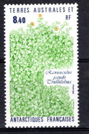 Timbre TAAF ** MNH N° 154 Flore Antarctique - Autres & Non Classés