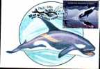 Carte Maximum With Baleine 1993 Of Romania. - Whales