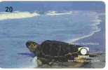 1999 Brazi 20 Unit. - Used Card - Schildpadden