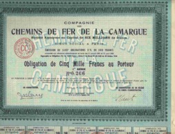 RARE : CIE DES CHEMINS DE FER DE LA CAMARGUE    (OB NR) - Chemin De Fer & Tramway