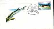 ROMANIA WWF 1995 With Fish,cancel Cluj-Napoca. - Otros & Sin Clasificación