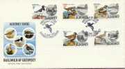 AURIGNY ALDERNEY Enveloppe Grand Format FDC Du 12 Juin 1984 ( Poste 13 à 17 ) : Oiseaux - Alderney