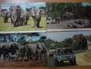 Lot 4 Cpm Fin Annees 70 Theme Des Elephants Elephant - Olifanten