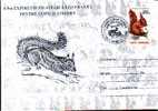 Romania Cover With Animal Rodents. - Knaagdieren