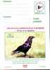 Romania 3 PC WWF Protect Birds Of Romania. - Sonstige & Ohne Zuordnung