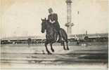 CONCOURS HIPPIQUES DE FRANCE - Bordeaux,saut Des Barres - Paardensport