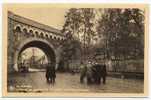 Beauraing - Avenue De La Grotte Et Arbre Des Apparitions - Beauraing